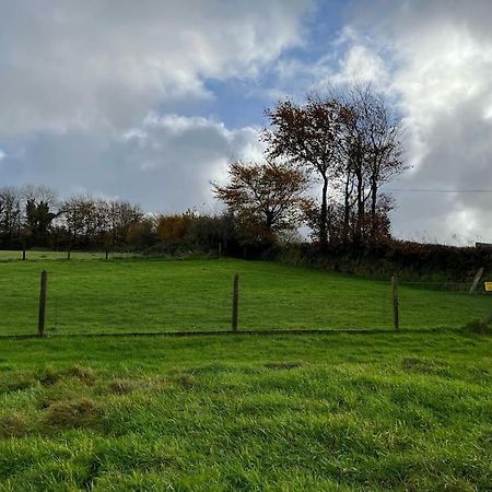 Woodland View At Hewish Mill Villa Bittadon Exterior foto