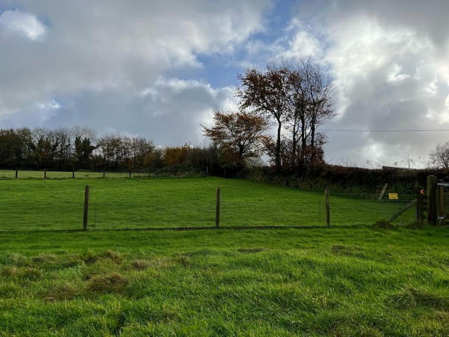 Woodland View At Hewish Mill Villa Bittadon Exterior foto